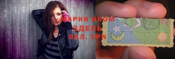 прущие грибы Касимов