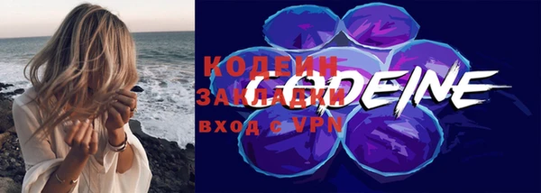 прущие грибы Касимов
