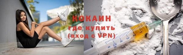 прущие грибы Касимов
