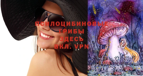 синтетический гашиш Карпинск