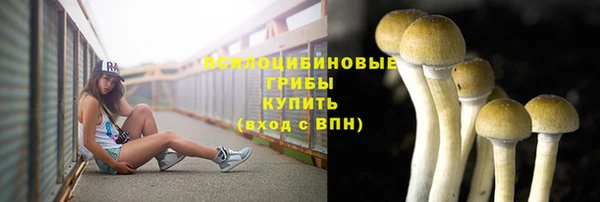 МДМА Карталы