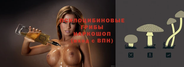 индика Киреевск