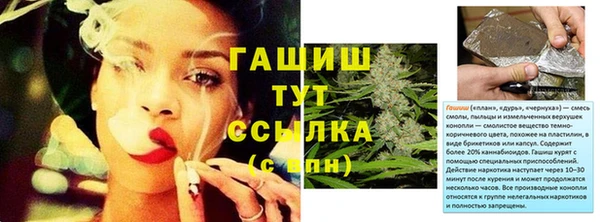 прущие грибы Касимов