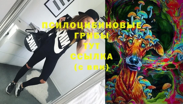 прущие грибы Касимов