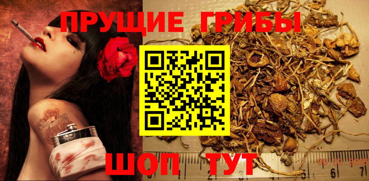 Екатеринбург  Галлюциногенные грибы прущие грибы  Вход с VPN 